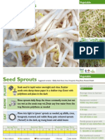 Seed Sprouts