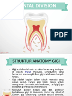 Dental Anatomy