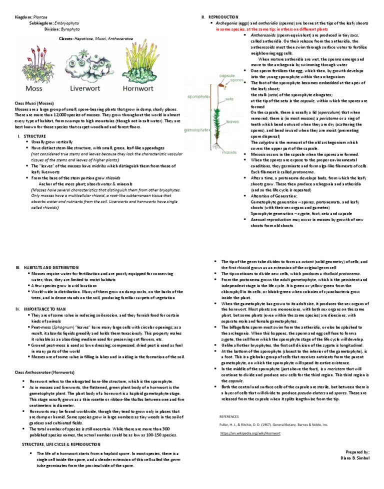 Moss Life Cycle Worksheet