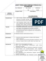 Spo Audit Kinerja Pengelola Keuangan