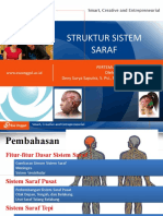 Pertemuan 3 Struktur Sistem Saraf