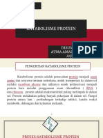 Katabolisme Protein Atma