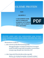 METABOLISME PROTEIN KEL.3 (2)