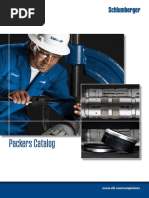 Baker Model D Retainer Packer Guide | PDF | Screw | Pipe (Fluid Conveyance)