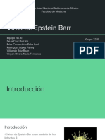 Virus de Epstein-Barr: estructura, replicación, epidemiología, patogenia e implicaciones clínicas