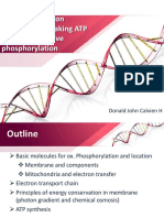 Oxidative Phosphorylation PDF
