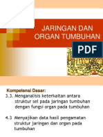 Jaringan Tumbuhan 2018