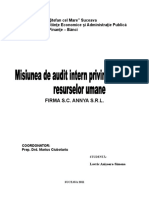 60998944-Misiune-de-Audit-Intern.doc