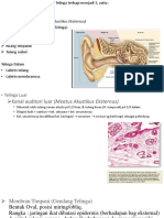 Histologi