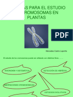 Técnicas para El Estudio de Cromosomas en Plantas