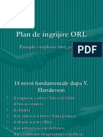 Curs 3-4 .Plan de Ingrijire ORL