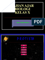 Materi Protista Biologi Kelas 12