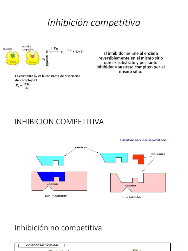 Inhibición Competitiva y No Competitiva | PDF