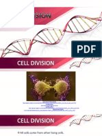 Cell+division 134423594