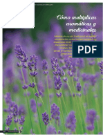 Como Multiplicar Aromaticas y Medicinales Sepulveda - Revista - 81 - Fyd-5 - 0