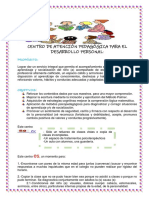 Proyecto Capdp PDF