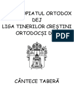 CAIET DE CANTECE CU ACORDURI PENTRU TABERE 2019.docx