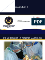 Vascular1.pdf