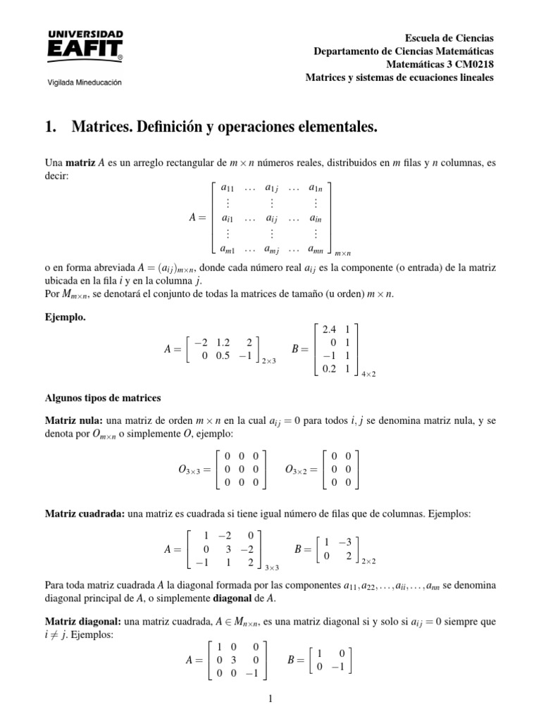 Matrices y Operaciones Básicas en Matemáticas | PDF | Matriz ...