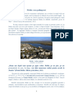 Prezentare_oras_Braila.pdf