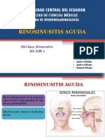 Rinosinusitis Aguda 