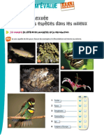 171264_EvaluationPartie2(2pages)