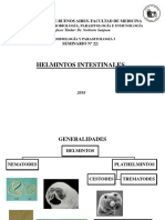 SEMINARIO 22.pdf