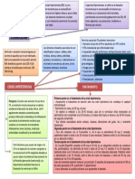 16 Esquema Crisis Hipertensiva