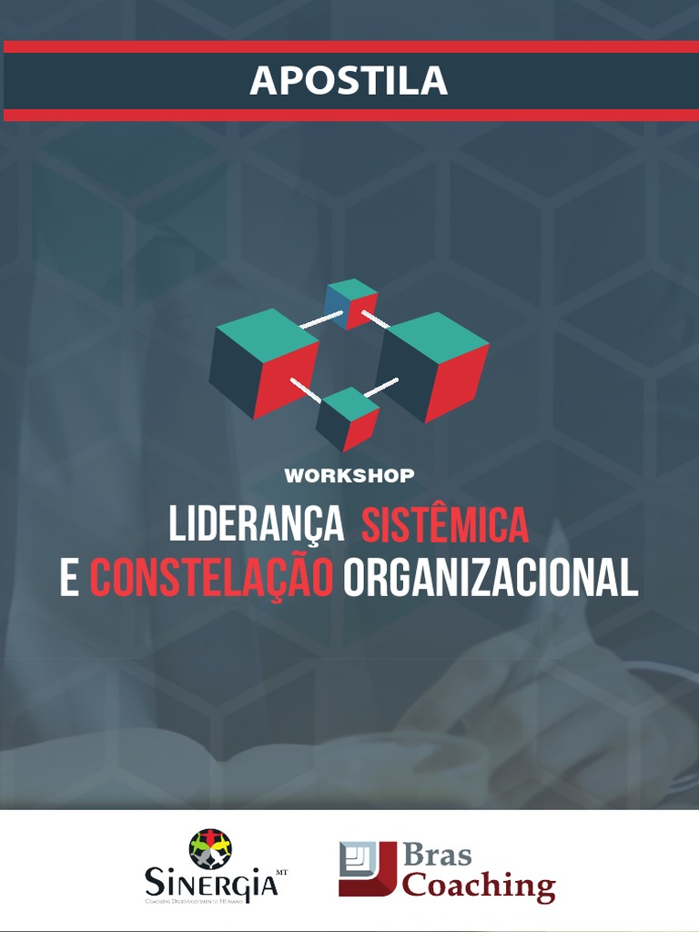 Apostila Liderança Sistemica Simone Bernadino Pdf Pdf Liderança