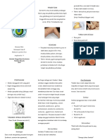 Leaflet-Dermatitis