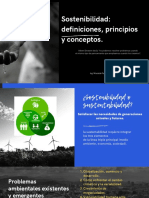 Sostenibilidad_ Definiciones, Principios y Conceptos