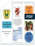 Leaflet Cholelithiasis PDF