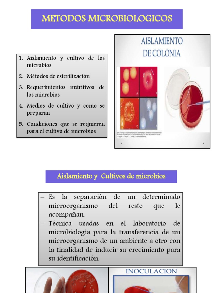 Clase 3a - Métodos Microbiologicos 2017 PDF | PDF | Microbiología ...
