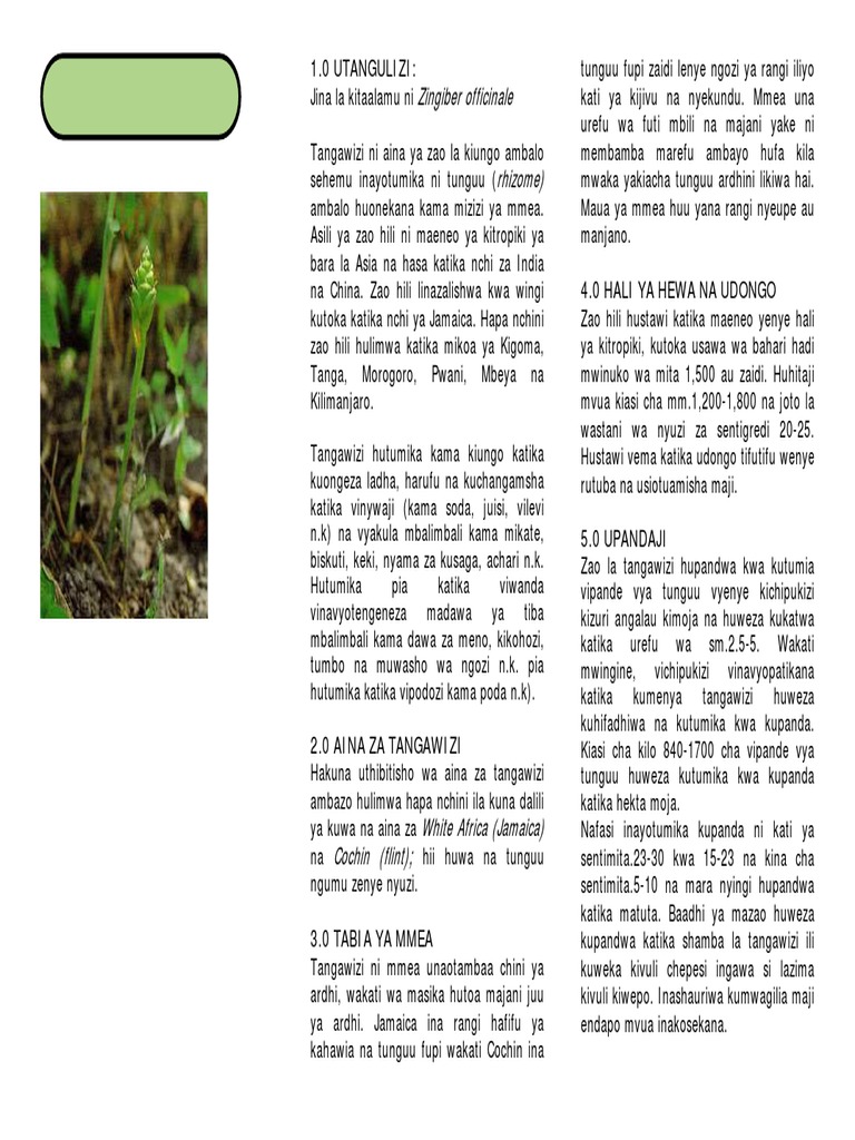 Kilimo Cha Tangawizi Pdf