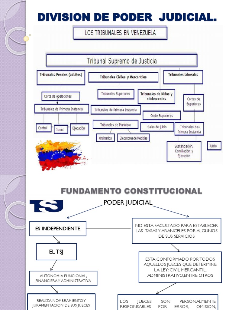 Division de Poder Judicial | PDF