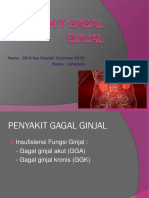 Penyakit Ginjal