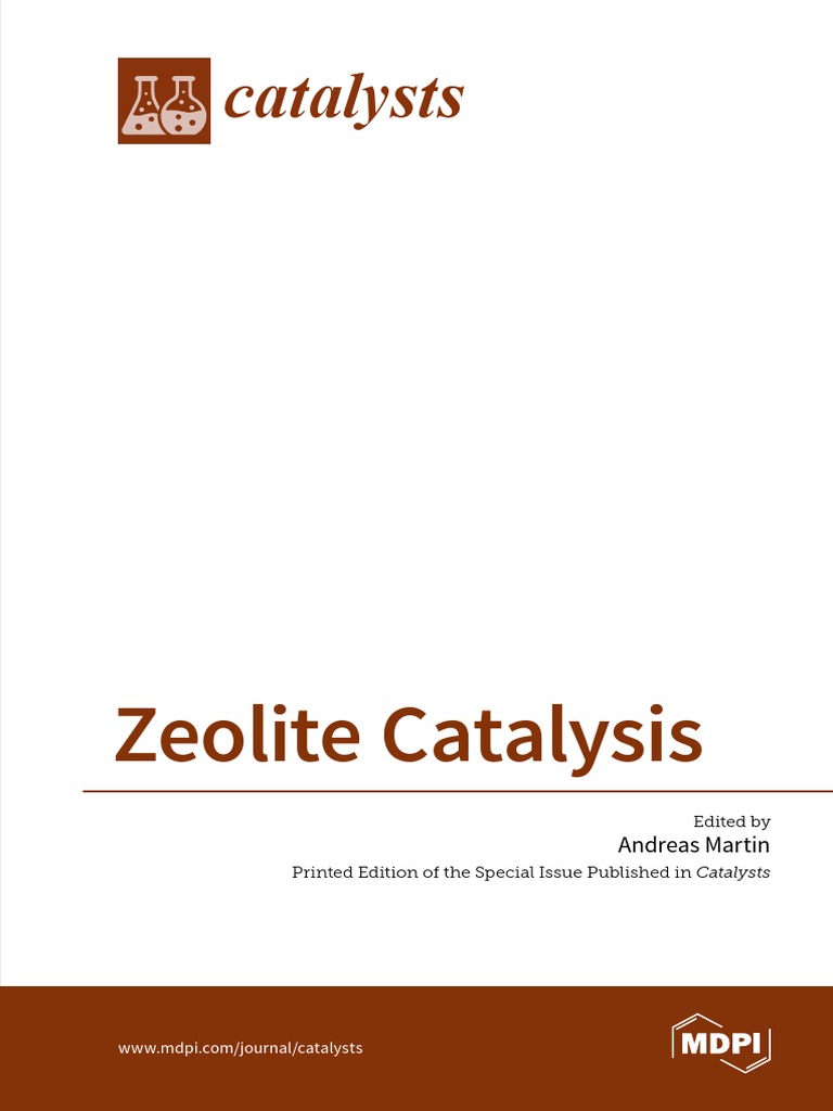 No-Zeolite Catalysis PDF | PDF | Zeolite | Adsorption