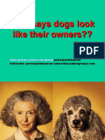 Dogs Look Like Their Owners
