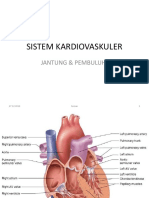 Sistem Kardiovaskuler