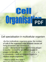 Cell Organisation.ppt