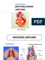 PROLANIS GAGAL JANTUNG