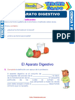 El Aparato Digestivo para Tercer Grado de Primaria