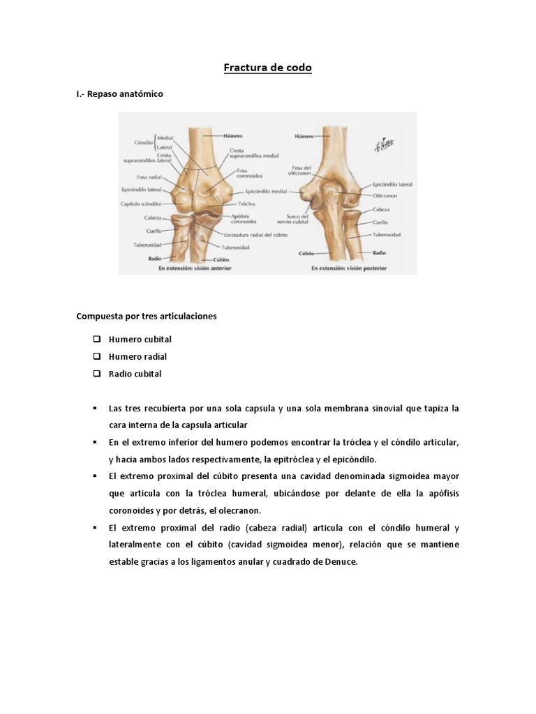 Fractura de Codo | PDF | Codo | Extremidades (anatomía)