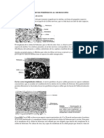 Asapectos de Los Nervios Perífercos Al Microscopio