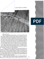 Aracne.pdf