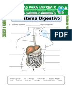 Ficha de El Sistema Digestivo para Tercero de Primaria
