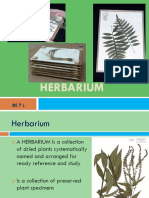 Herbarium