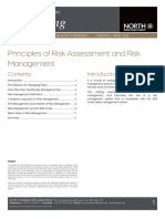 Risk Management LP Briefing PDF