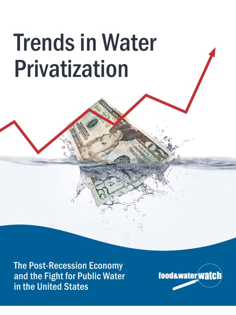 Trends in Water Privatization | Privatization | Government Budget Balance