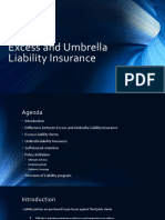 Excess and Umbrella Liability Insurance